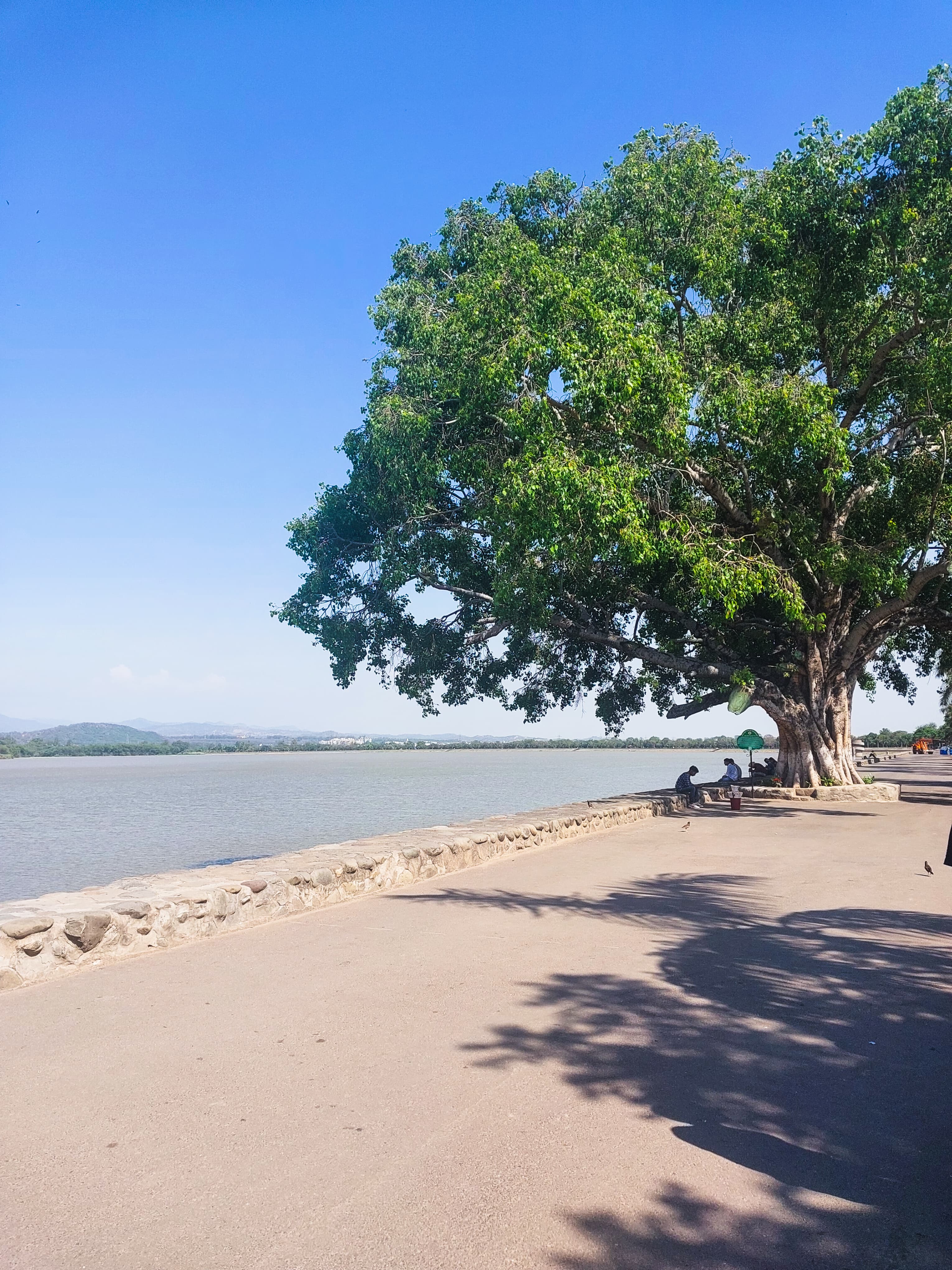 Sukhna Lake